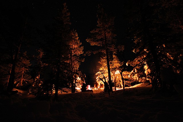 Our campfire creates a magical orange glow between the Nordic Spruces.