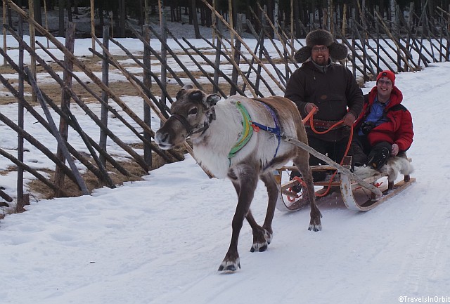 We also have the opportunity to do reindeer sleigh racing. Only when the herder takes the lead the animals get some speed.