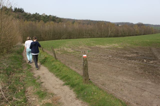 Also in March we started practising for the International 4 Days Marches in July. Here we are walking through the hills at Groesbeek, not too far from where we live.