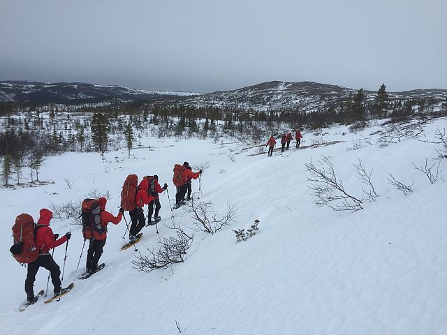 After breakfast and breaking up camp we head towards the wilderness of the Skarvan og Roltdalen National Park. There are no roads into this park, just a few tracks that disappear under the snow in winter. Maps, compasses and GPS ensure we don't get lost.